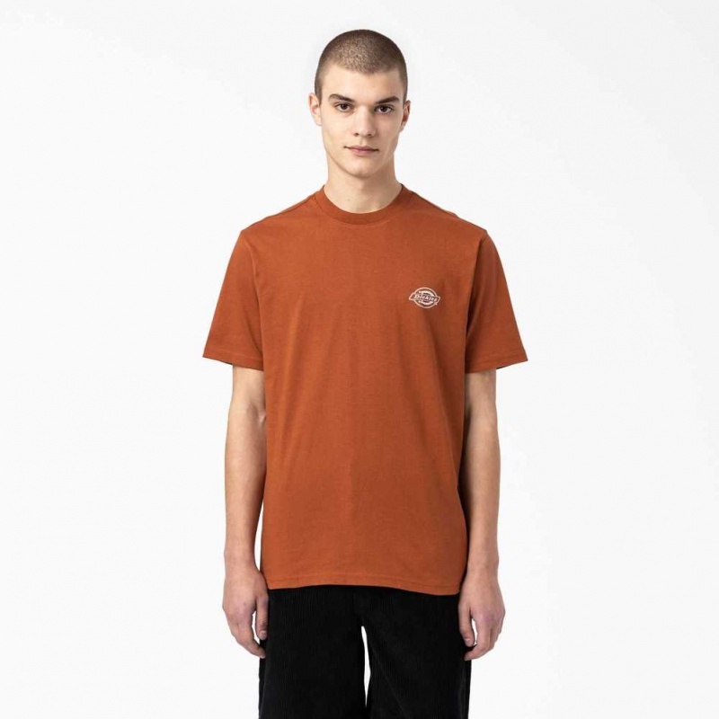 Dickies Back Logo Grafická T-Shirt Hnědé | CZ0000776