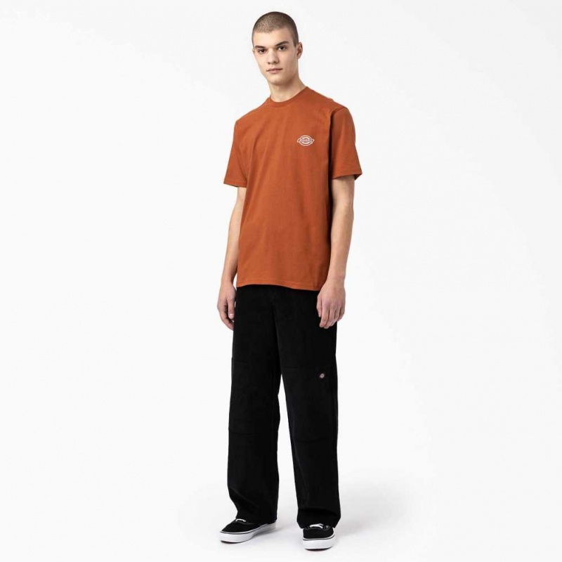 Dickies Back Logo Grafická T-Shirt Hnědé | CZ0000776