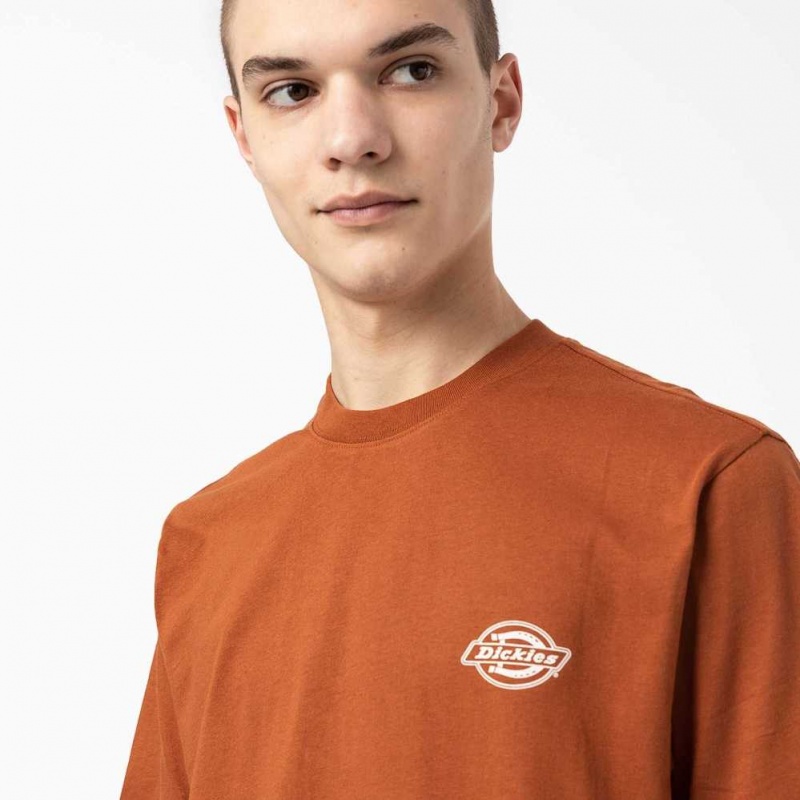 Dickies Back Logo Grafická T-Shirt Hnědé | CZ0000776