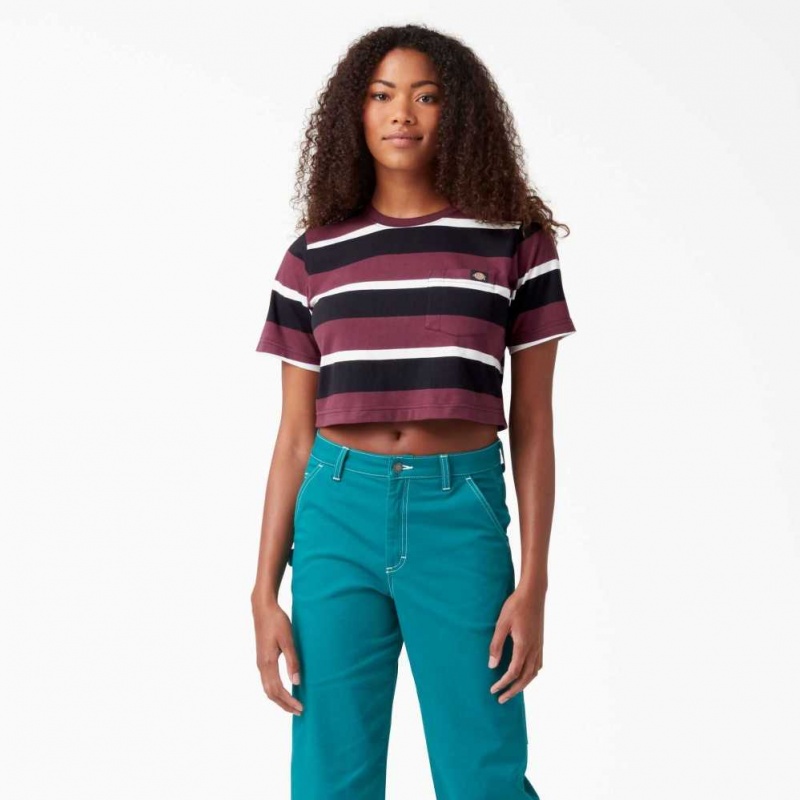 Dickies Cropped Pruhovaný T-Shirt Wine Collegiate Stripe | CZ0002194