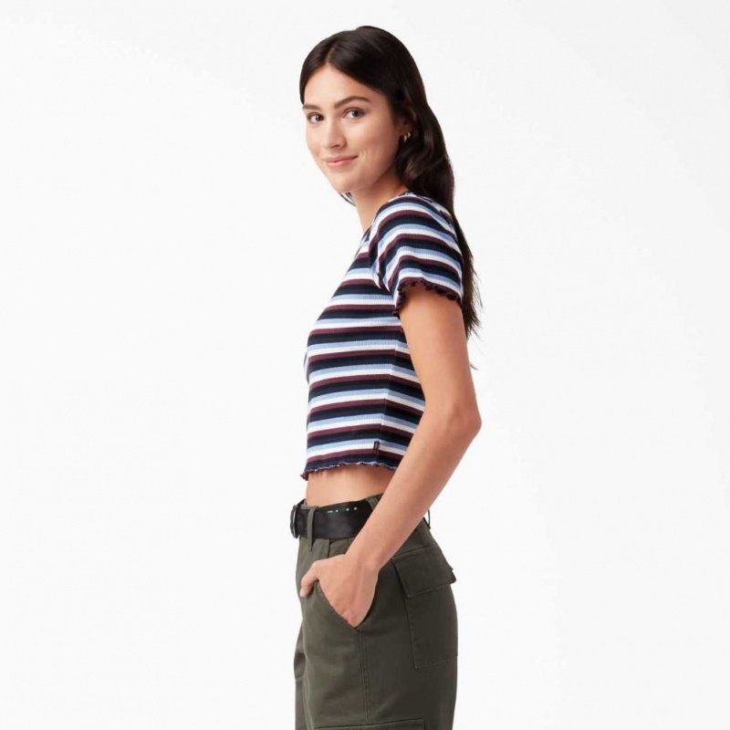 Dickies Cropped Stripe Baby T-Shirt Wine / Jacaranda Baby Stripe | CZ0002193