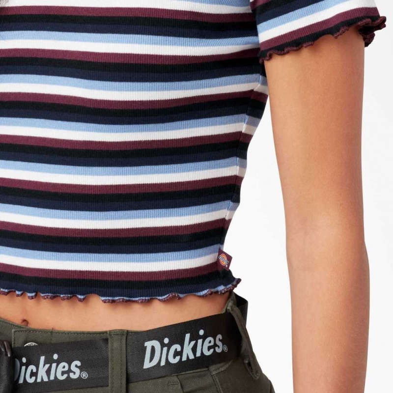 Dickies Cropped Stripe Baby T-Shirt Wine / Jacaranda Baby Stripe | CZ0002193