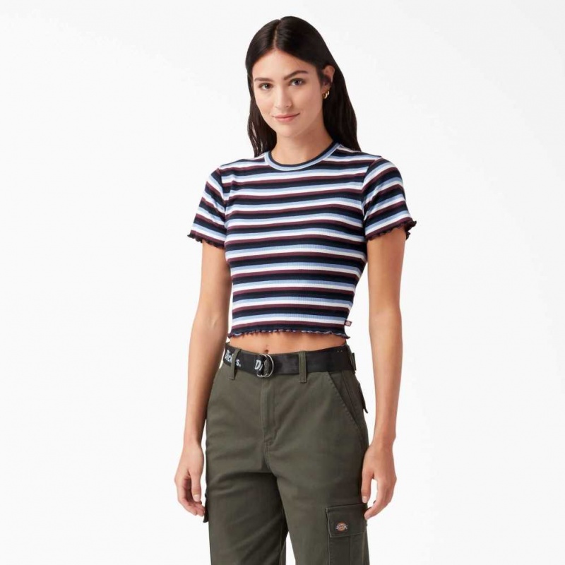 Dickies Cropped Stripe Baby T-Shirt Wine / Jacaranda Baby Stripe | CZ0002193