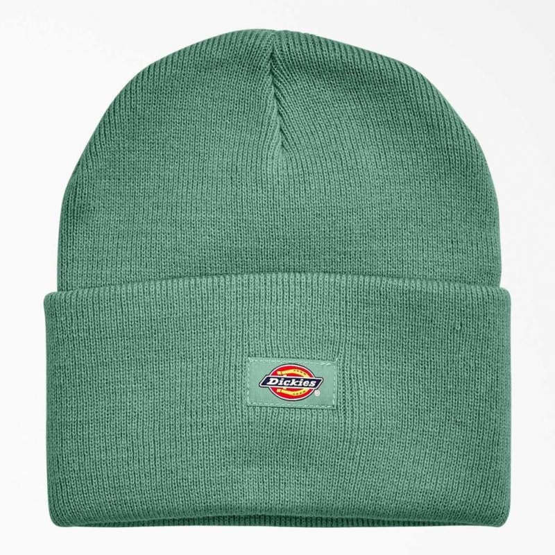 Dickies Cuffed Knit Beanie Tmavě | CZ0002016