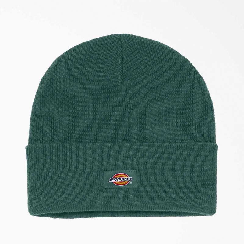 Dickies Cuffed Knit Beanie Zelene | CZ0002031