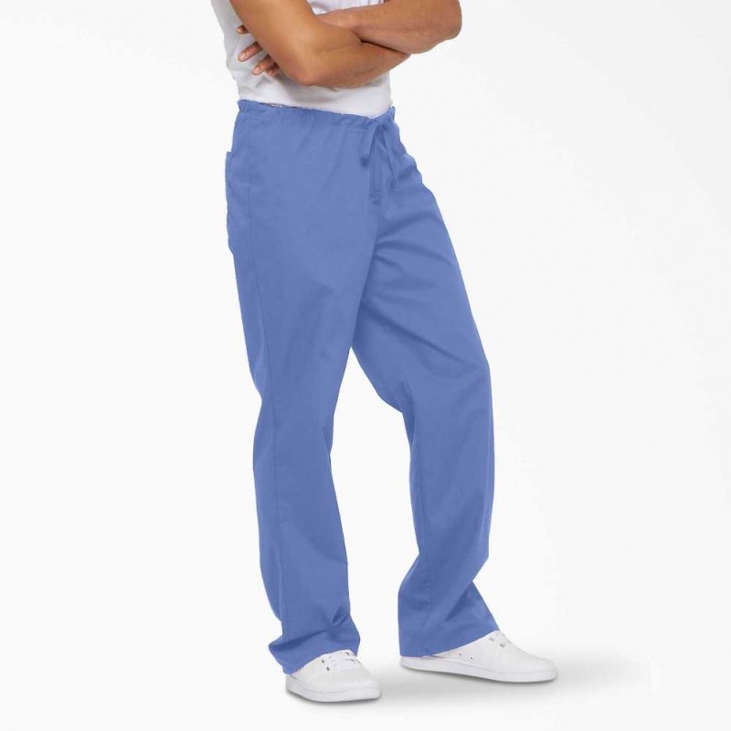 Dickies EDS Signature Scrub Pants Blankyt | CZ0001391