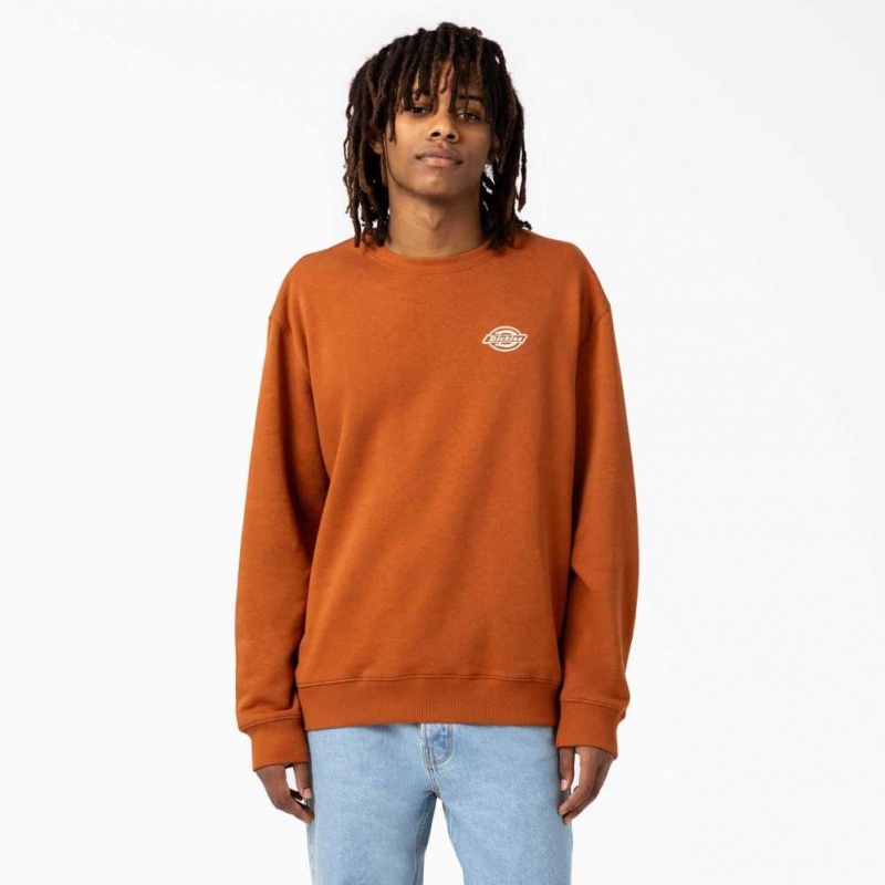 Dickies Holtville Sweatshirt Regular | CZ0001054