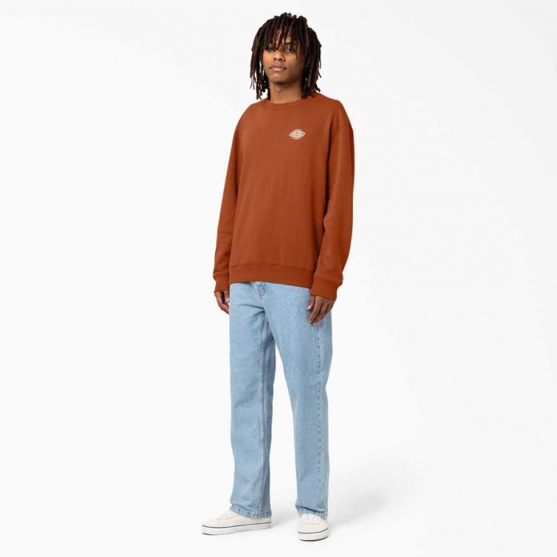 Dickies Holtville Sweatshirt Regular | CZ0001054