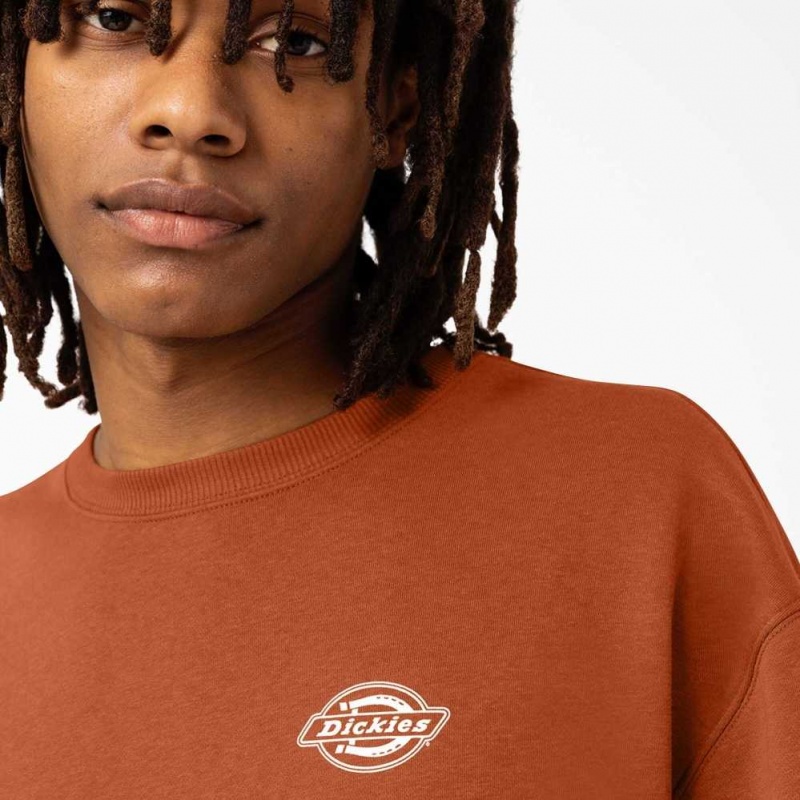 Dickies Holtville Sweatshirt Regular | CZ0001054