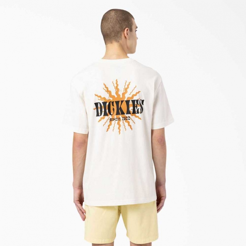 Dickies Kelso Grafická T-Shirt Béžový | CZ0000904