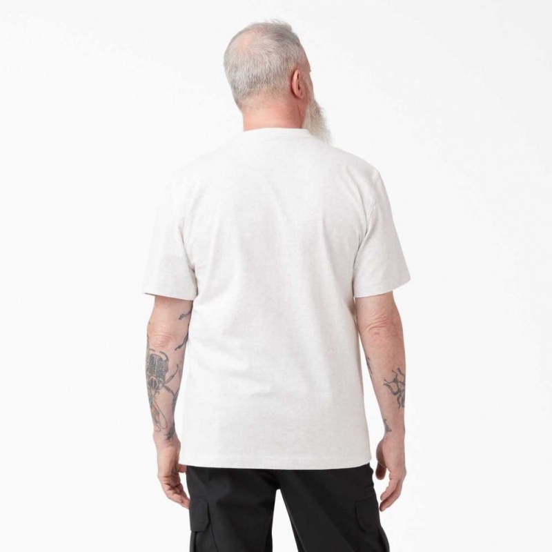 Dickies Krátké Sleeve Heavyweight T-Shirt Ash Gray | CZ0000476