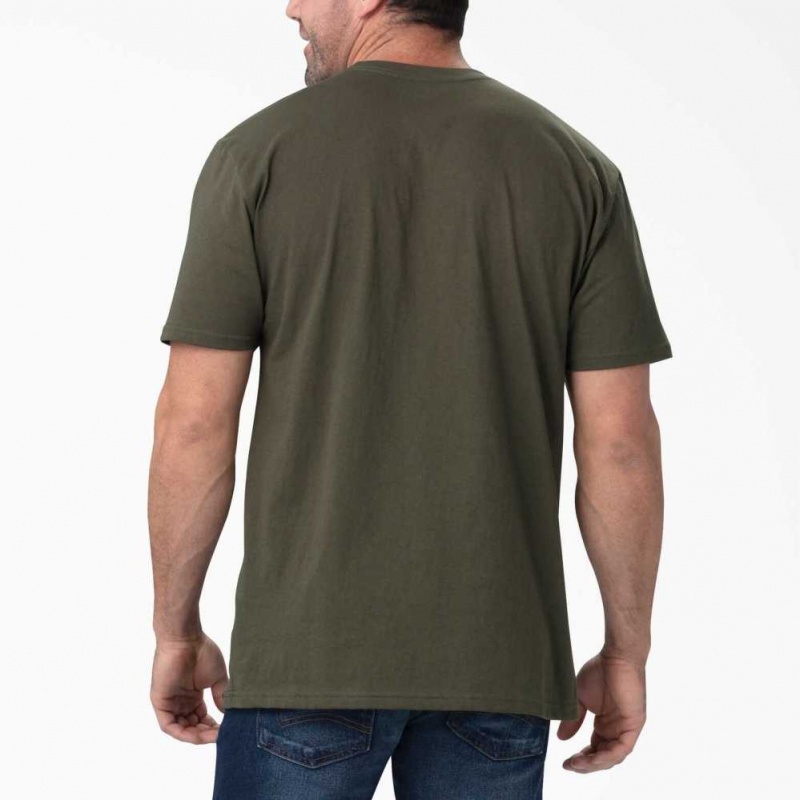 Dickies Krátké Sleeve Relaxed Fit Grafická T-Shirt Tmavě Zelene | CZ0001215