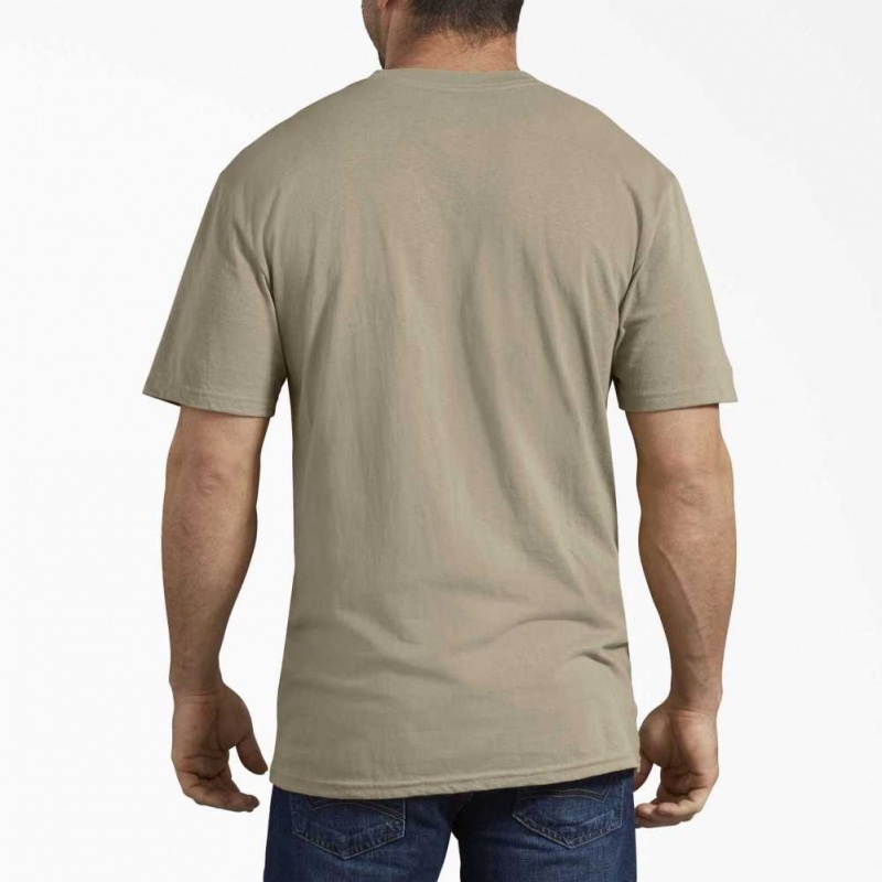 Dickies Krátké Sleeve Relaxed Fit Grafická T-Shirt Desert Sand | CZ0001222