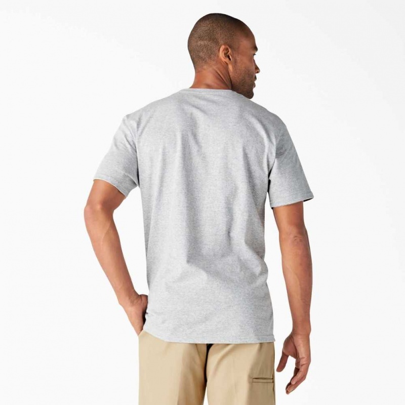 Dickies Krátké Sleeve Relaxed Fit Grafická T-Shirt Heather Gray | CZ0001240