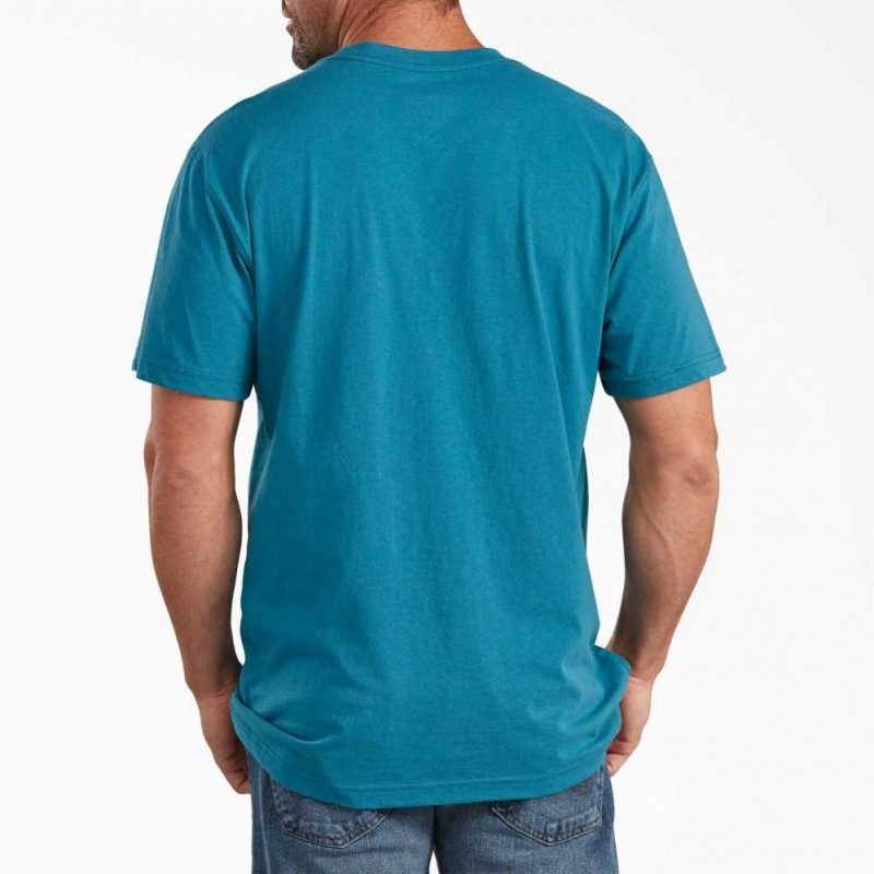 Dickies Krátké Sleeve Relaxed Fit Grafická T-Shirt Teal | CZ0001281