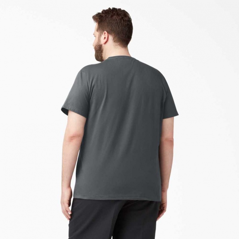 Dickies Krátké Sleeve Two Pack T-Shirts Charcoal Gray | CZ0000652