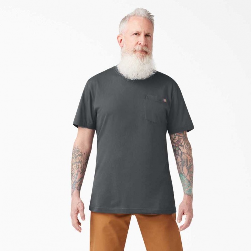 Dickies Krátké Sleeve Two Pack T-Shirts Charcoal Gray | CZ0000657