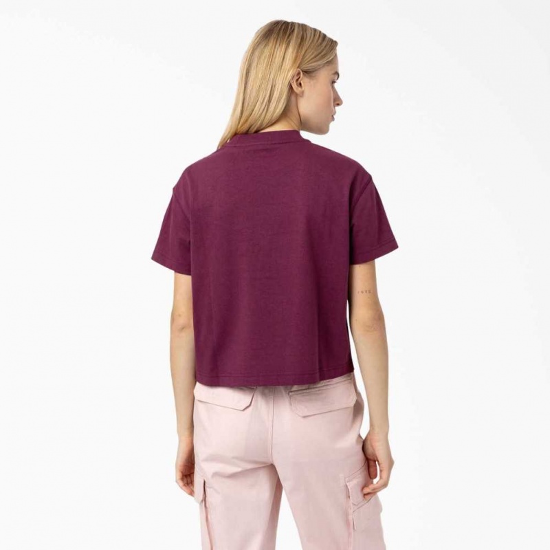 Dickies Loretto Cropped T-Shirt Grape Wine | CZ0002180