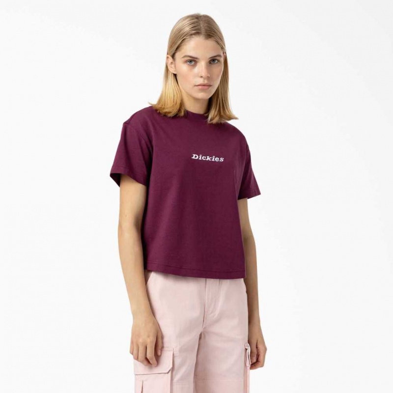 Dickies Loretto Cropped T-Shirt Grape Wine | CZ0002180