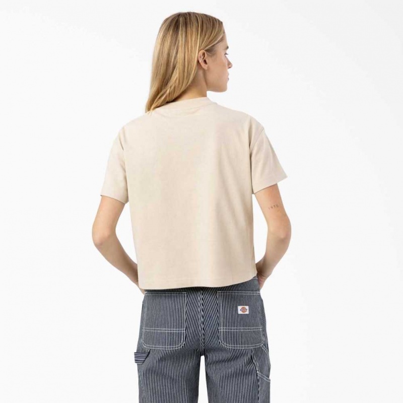 Dickies Loretto Cropped T-Shirt Tan | CZ0002186