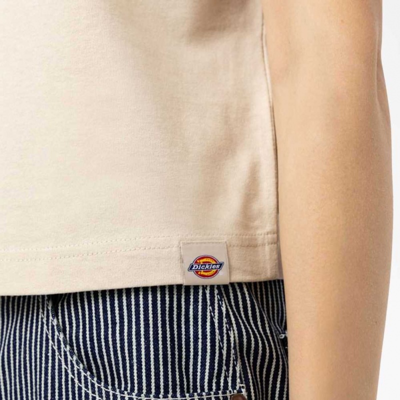 Dickies Loretto Cropped T-Shirt Tan | CZ0002186