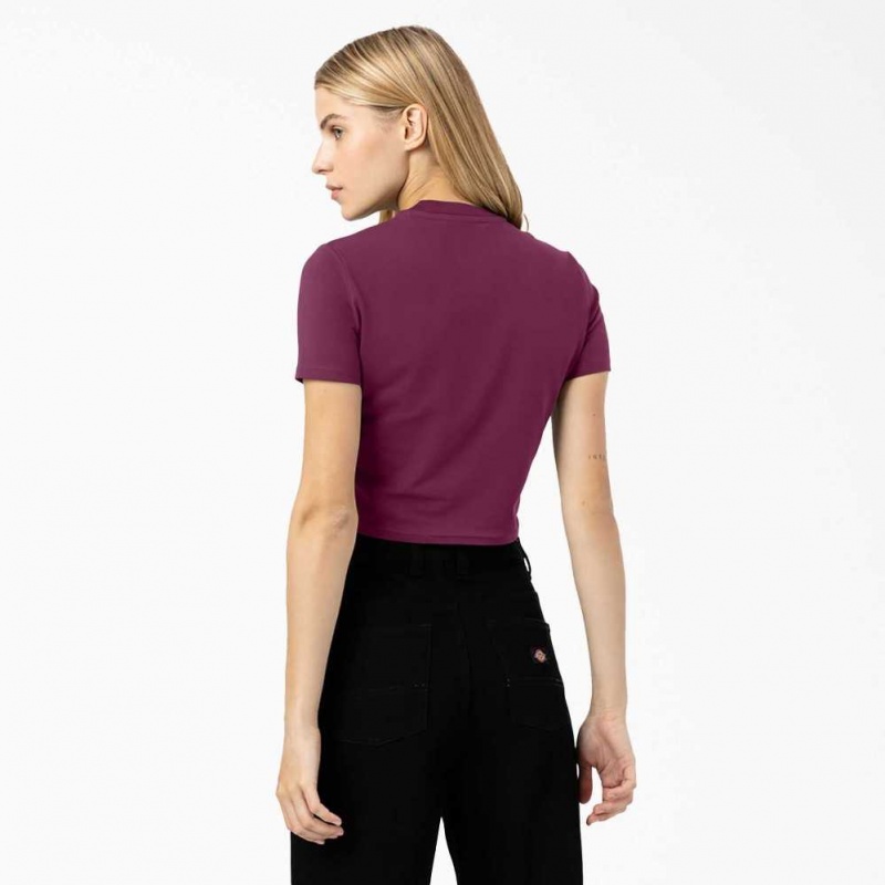 Dickies Maple Valley Cropped T-Shirt Grape Wine | CZ0002179