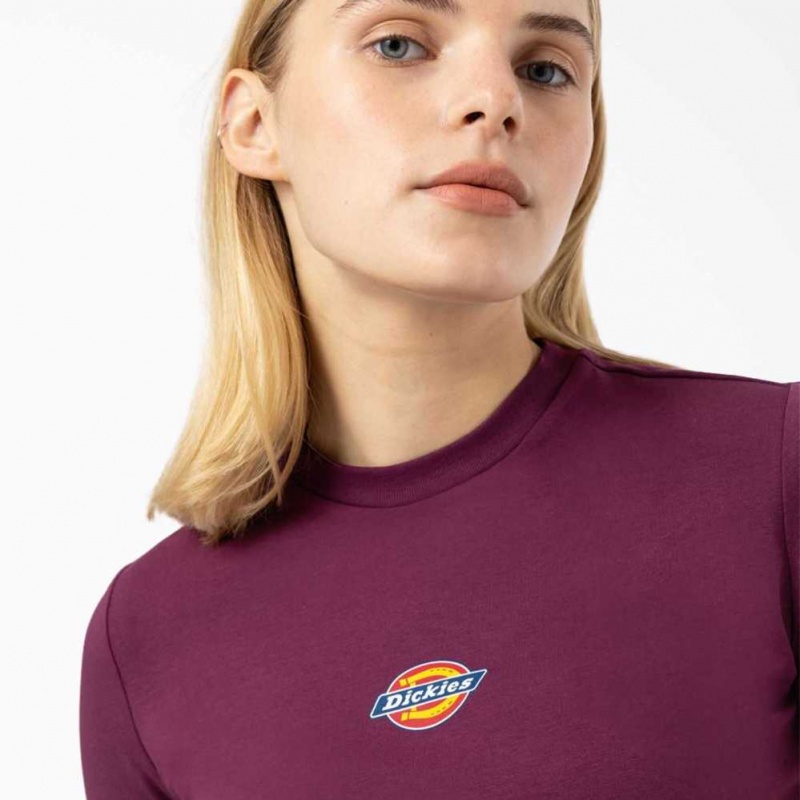 Dickies Maple Valley Cropped T-Shirt Grape Wine | CZ0002179