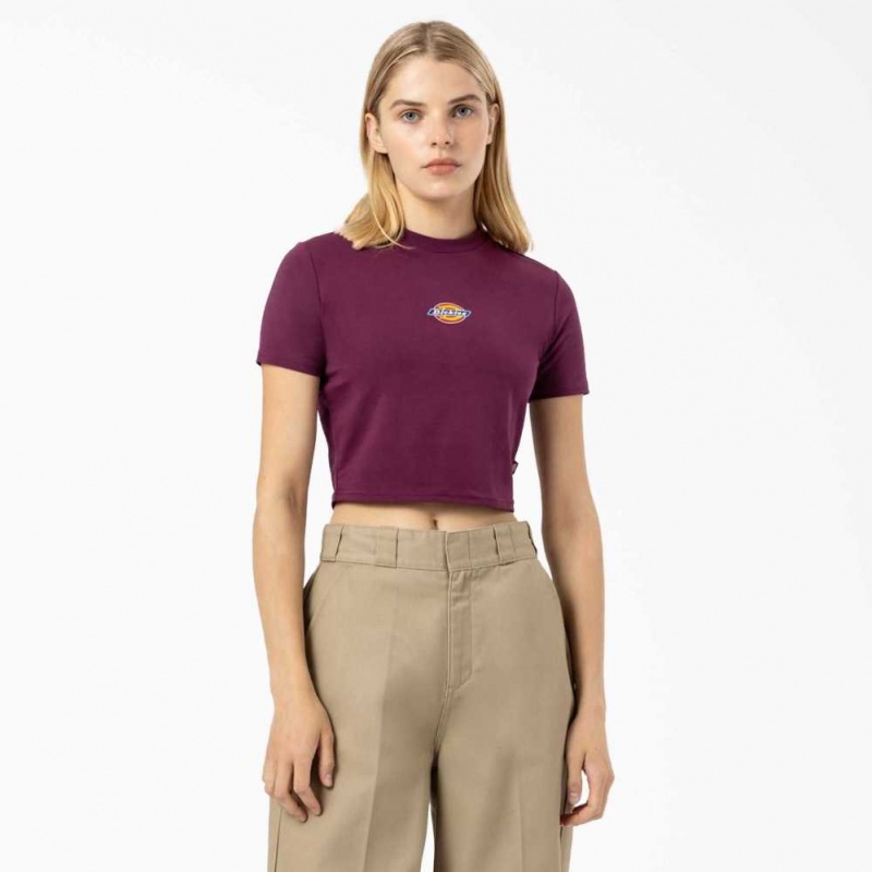 Dickies Maple Valley Cropped T-Shirt Grape Wine | CZ0002179