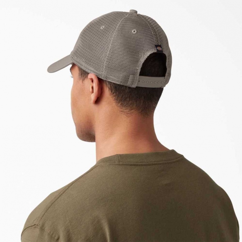 Dickies Platene Trucker Hat Atmosphere | CZ0001966