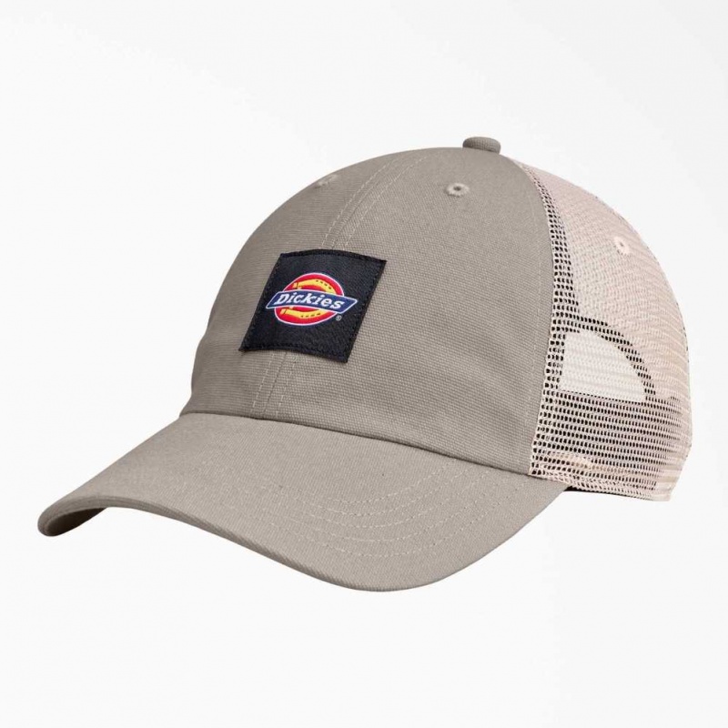 Dickies Platene Trucker Hat Atmosphere | CZ0001966