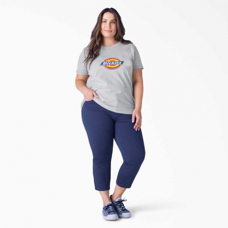 Dickies Plus Logo Grafická T-Shirt Heather Gray | CZ0000810