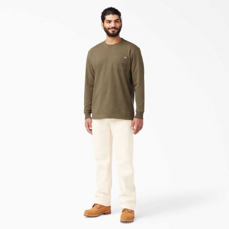 Dickies Relaxed Fit Rovný Leg Painter's Pants Béžový | CZ0001564