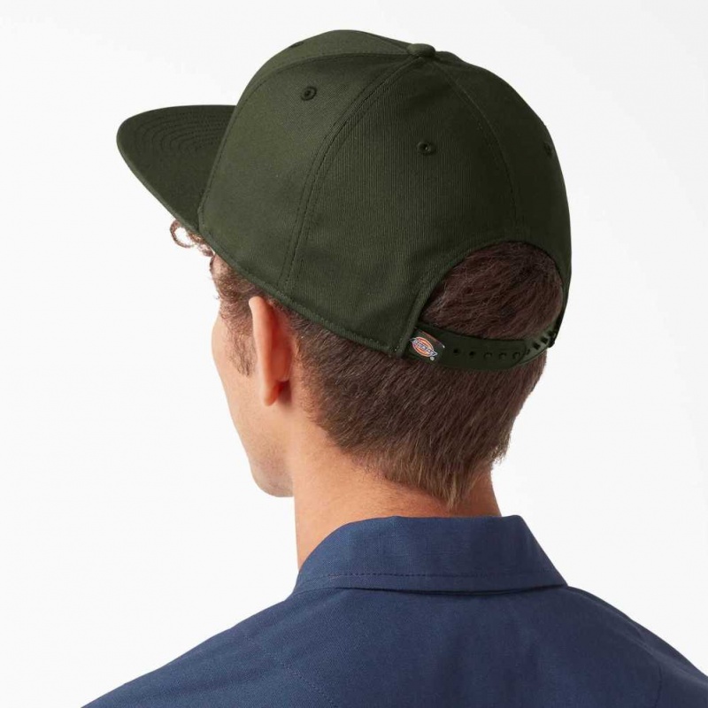 Dickies Skateboarding Byty Bill Cap Olivy Zelené Zelene | CZ0002081