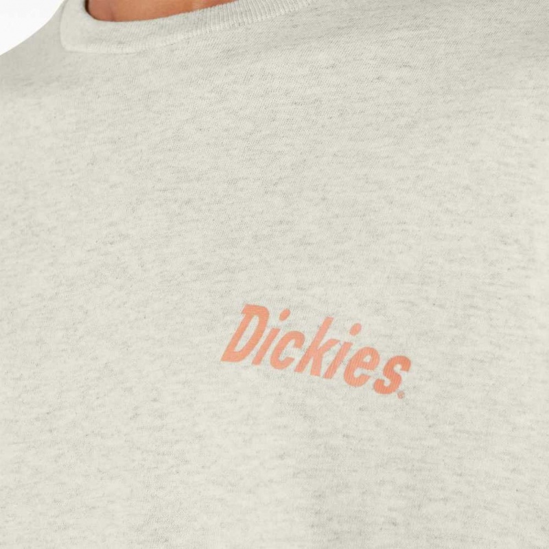 Dickies Skateboarding Split Grafická T-Shirt Oatmeal Heather | CZ0000914