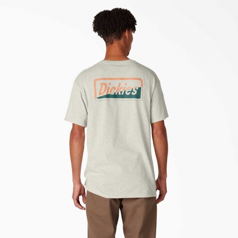 Dickies Skateboarding Split Grafická T-Shirt Oatmeal Heather | CZ0000914