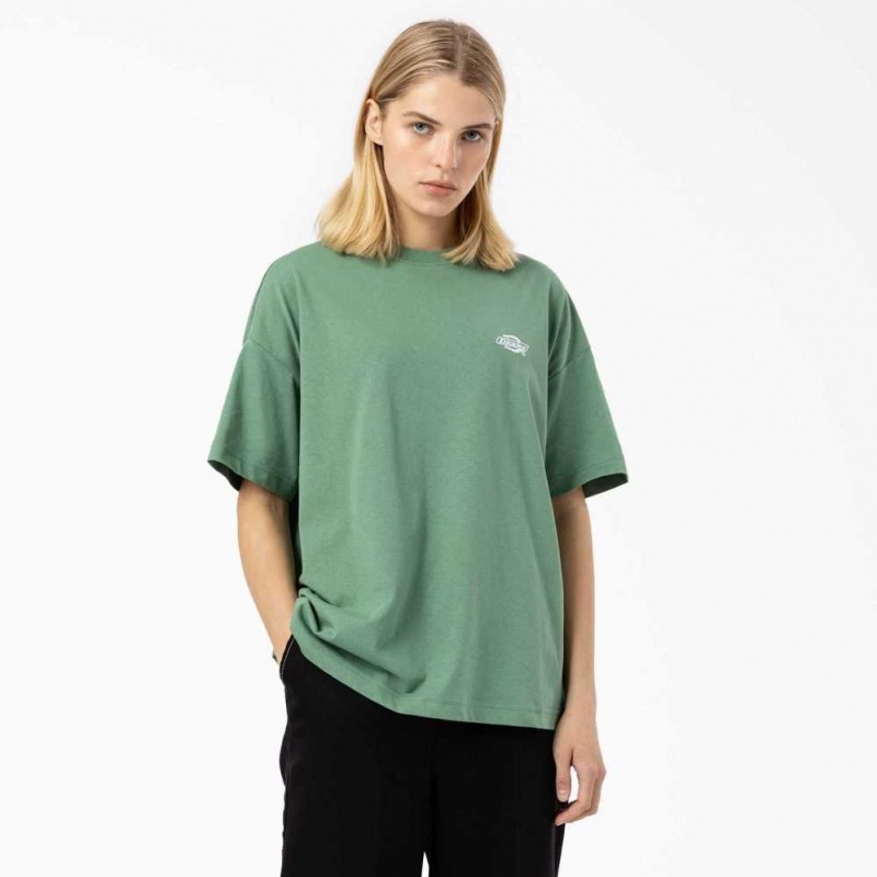 Dickies Summerdale Krátké Sleeve T-Shirt Tmavě | CZ0000682