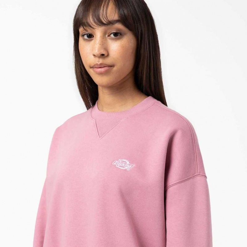 Dickies Summerdale Sweatshirt Foxglove | CZ0001044