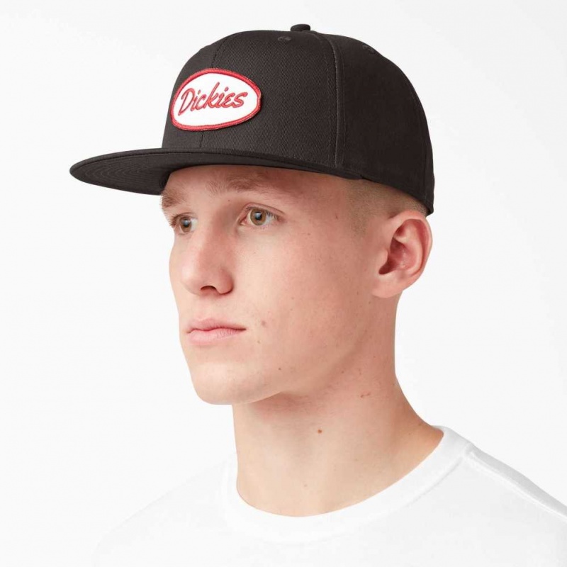 Dickies Twill Byty Bill Cap Tmavě Hnědé | CZ0002011