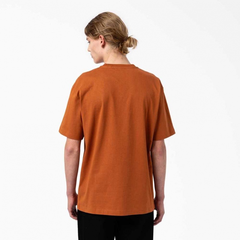 Dickies Union Springs Krátké Sleeve T-Shirt Hnědé | CZ0000778