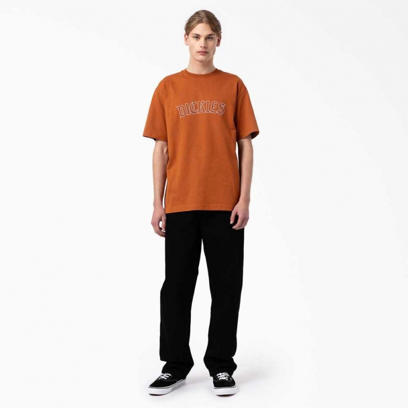 Dickies Union Springs Krátké Sleeve T-Shirt Hnědé | CZ0000778