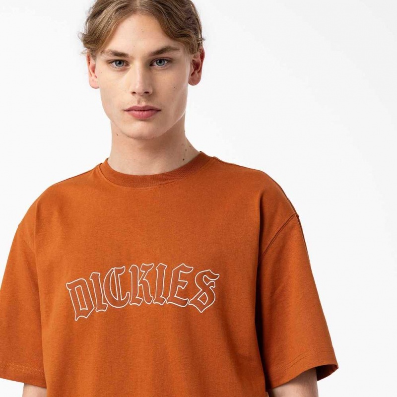 Dickies Union Springs Krátké Sleeve T-Shirt Hnědé | CZ0000778