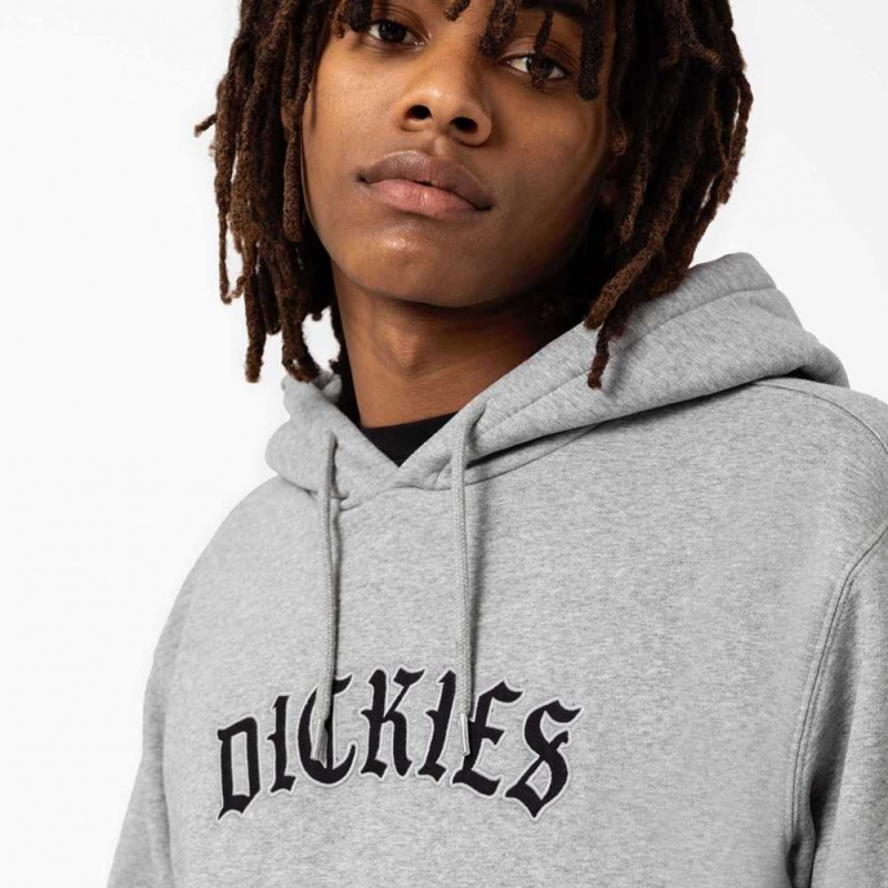 Dickies Union Springs Logo Hoodie Regular | CZ0001937