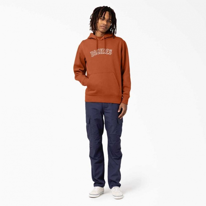 Dickies Union Springs Logo Hoodie Regular | CZ0001938