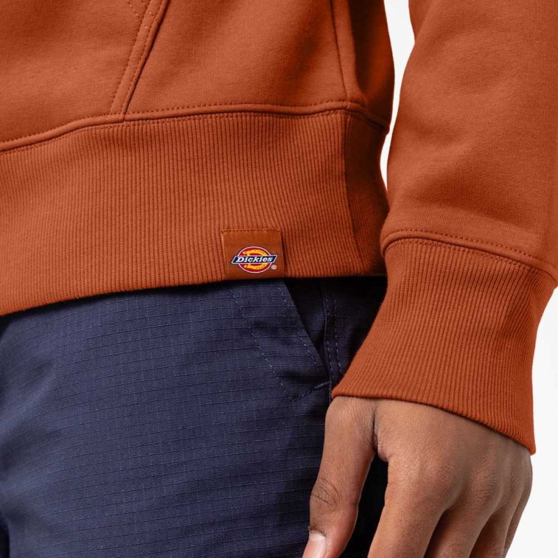 Dickies Union Springs Logo Hoodie Regular | CZ0001938