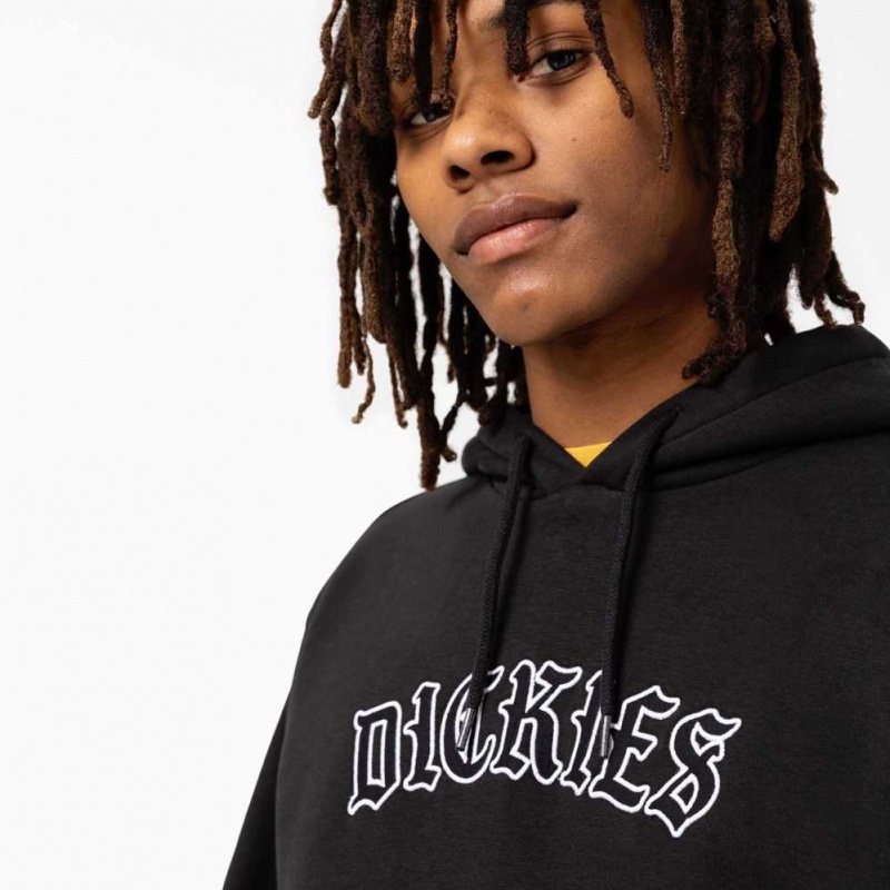 Dickies Union Springs Logo Hoodie Regular | CZ0001939