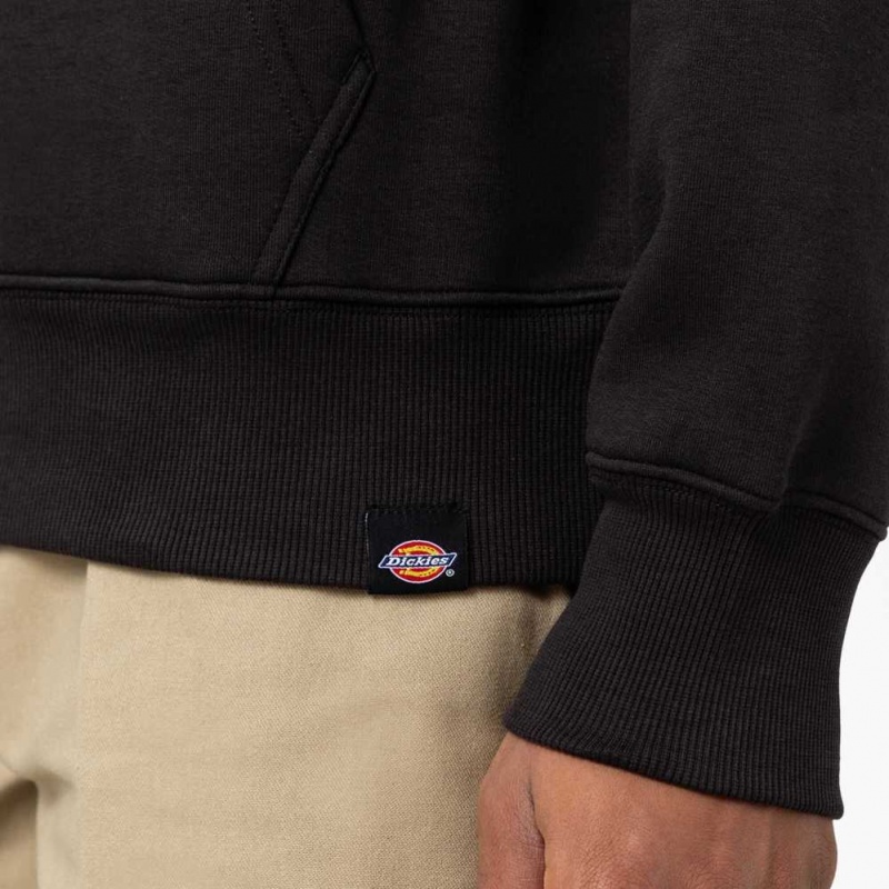 Dickies Union Springs Logo Hoodie Regular | CZ0001939