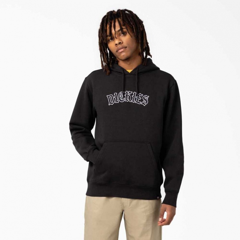 Dickies Union Springs Logo Hoodie Regular | CZ0001939