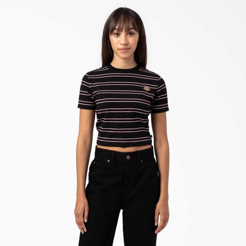 Dickies Westover Stripe Krátké Sleeve T-Shirt Černé | CZ0000564