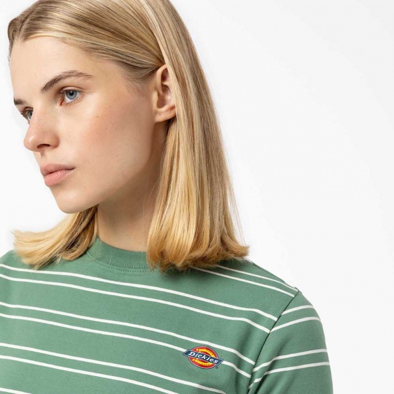 Dickies Westover Stripe Krátké Sleeve T-Shirt Tmavě | CZ0000681